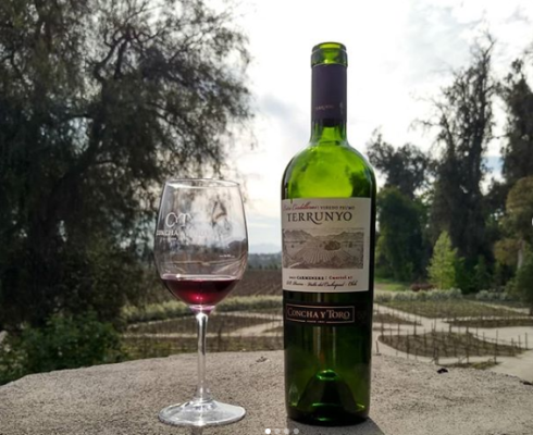 Vin�cola Concha y Toro